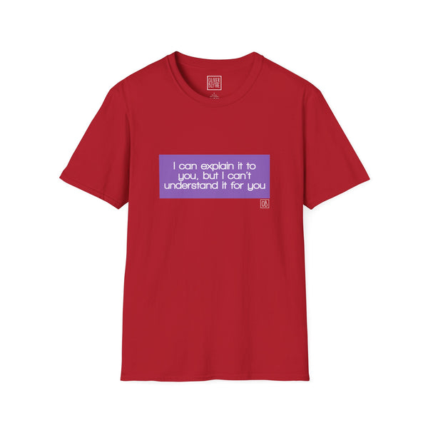 Adult I Can Explain It To You Tee