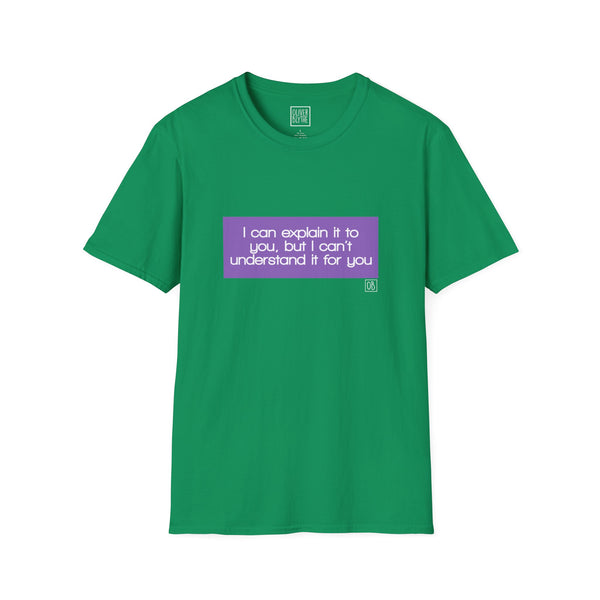Adult I Can Explain It To You Tee