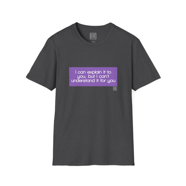Adult I Can Explain It To You Tee