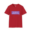 Adult I Can Explain It To You Tee