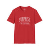 Adult Surprise I'm Drunk Tee